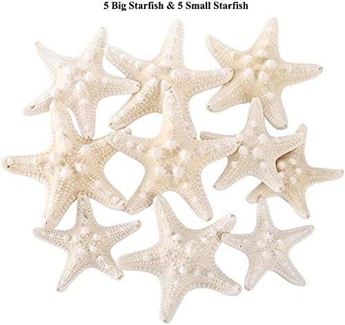 Okllen 2.2 Килограми Мешан Плажа Школки морска ѕвезда, Природни Големи Conch Школки морска ѕвезда Шарени Морски Школки на Плажа Тема