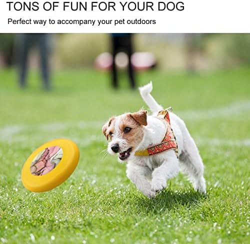 Боја Апстрактно Сликарство Круг Куче Frisbees Летечки Диск Играчки за Обука Спорт Храната Сад