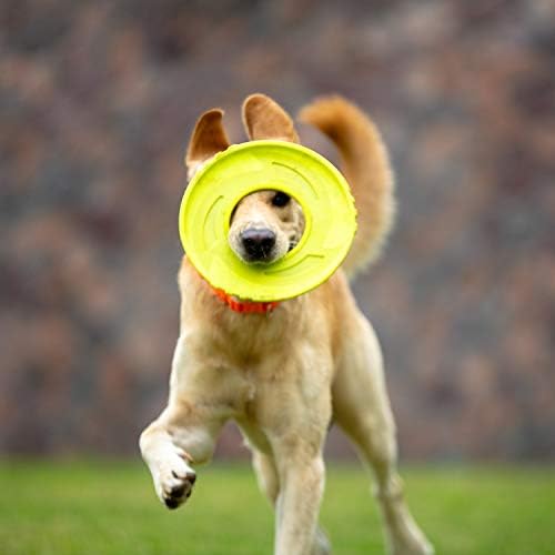 SKIPDAWG Интерактивни Куче Затегнување Играчка, Куче Летање Диск Куче Вода Играчка Не-Токсични Светлина TPR / Најлон Материјал, домашно