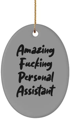 Единствена Идеја Личен Асистент Подароци, Неверојатни Ебат Личен Асистент, Саркастична Божиќ Овална Украс Подароци за Колегите